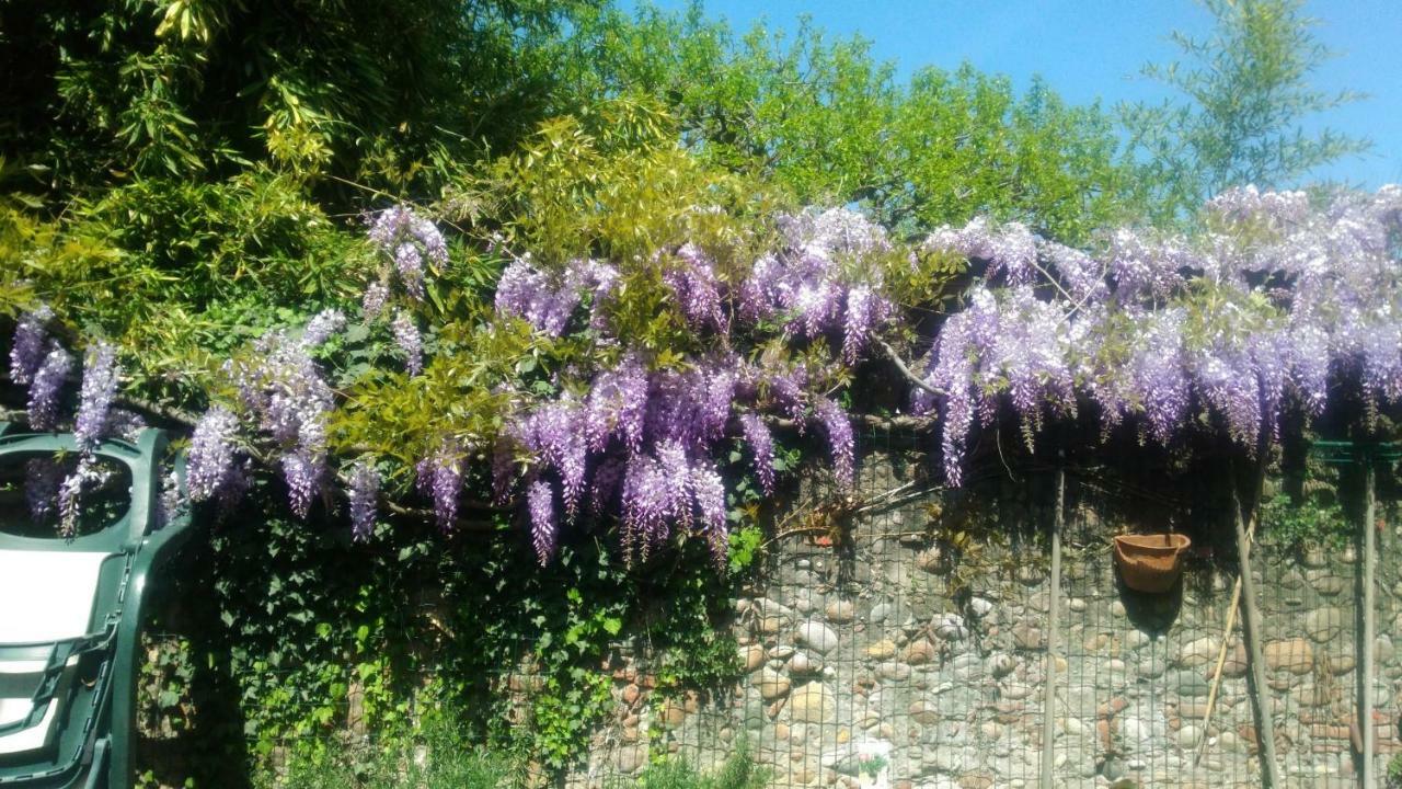 Casavacanzaicolli Villa Pescantina Exterior foto